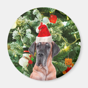 Great Dane w Christmas Tree Gift Boxes Santa Hat Magnet