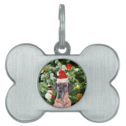 Great Dane w Christmas Tree Gift Boxes Santa Hat Pet ID Tag