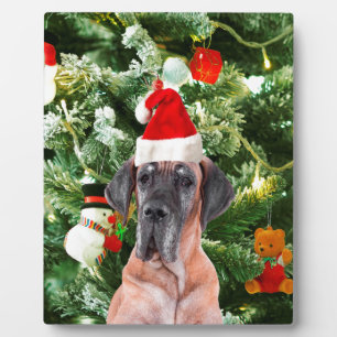 Great Dane w Christmas Tree Gift Boxes Santa Hat Plaque