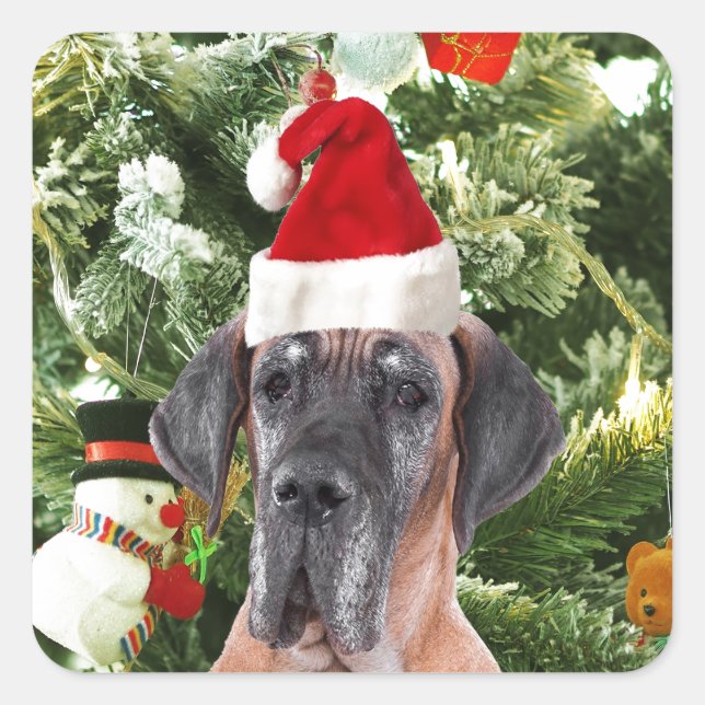 Great Dane w Christmas Tree Gift Boxes Santa Hat Square Sticker (Front)
