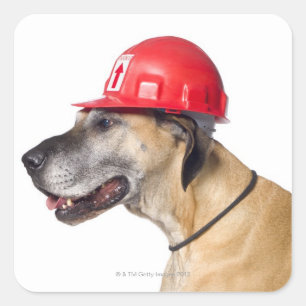 Great Dane wearing a red construction helmet Square Sticker