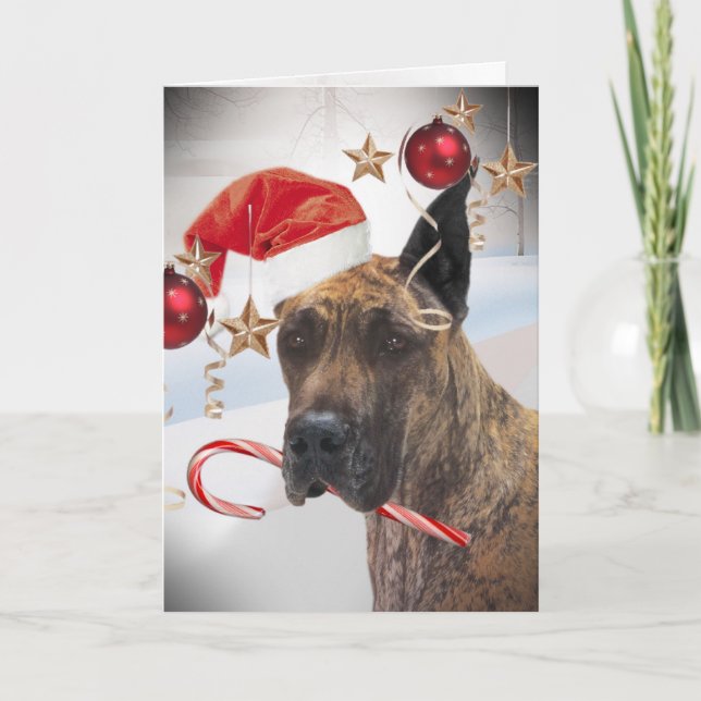 GREAT DANE WEARS SANTA HAT ON EAR HOLIDAY CARD (Front)