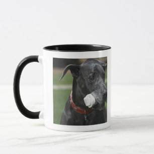 Great Dane with bone Mug