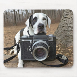 Great Dane With Camera Mouse Pad