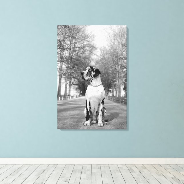 Great Dane Wrapped Canvas Print (Insitu(Wood Floor))