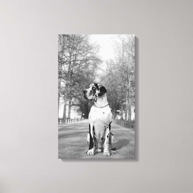 Great Dane Wrapped Canvas Print (Front)