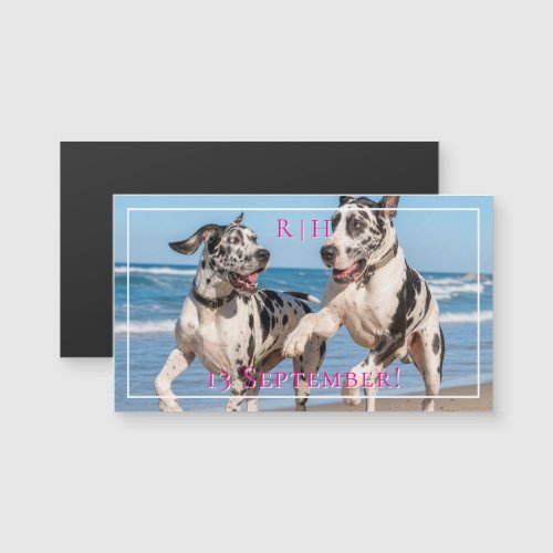 Great DaneLOVE AT FIRST SNIFF save the date