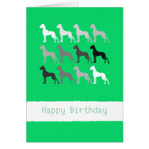 Great Danes Birthday Cards