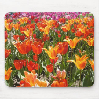 Great day mouse pad