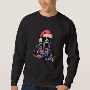 Great Dog Dane Santa Hat Merry Beautiful Christmas Sweatshirt