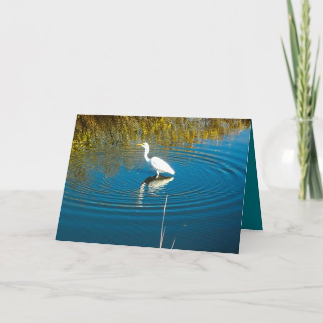 Great Egret #3 Greeting Card (Front)