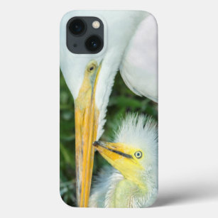 Great Egret and baby egret at Gatorland iPhone 13 Case