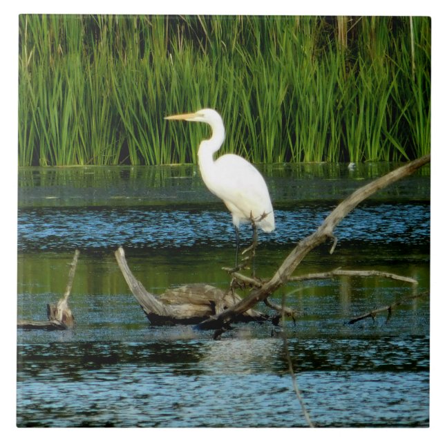 Great Egret Decorative Tile (Front)