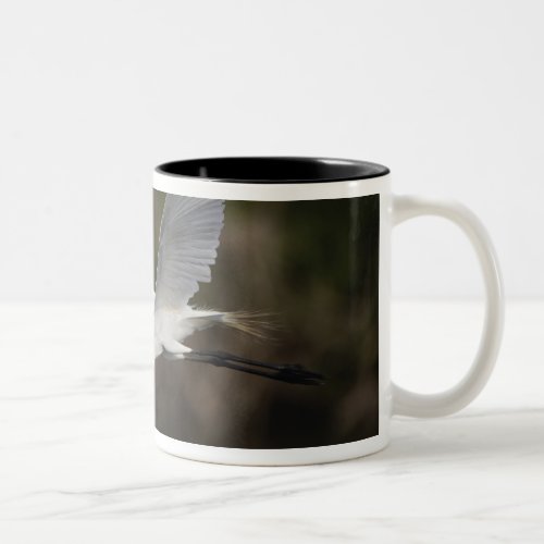 Great Egret in flight Casmerodius albus Two_Tone Coffee Mug