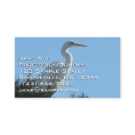 Great Egret in Sunny Florida Business Card