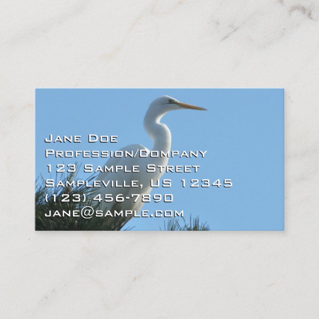 Great Egret in Sunny Florida Business Card (Front)