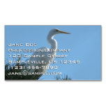 Great Egret in Sunny Florida Business Card Magnet
