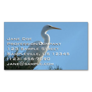 Great Egret in Sunny Florida Business Card Magnet