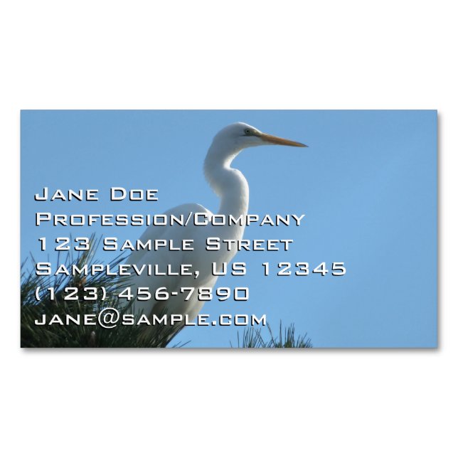 Great Egret in Sunny Florida Business Card Magnet (Front)
