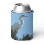 Great Egret in Sunny Florida Can Cooler
