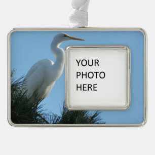Great Egret in Sunny Florida Christmas Ornament