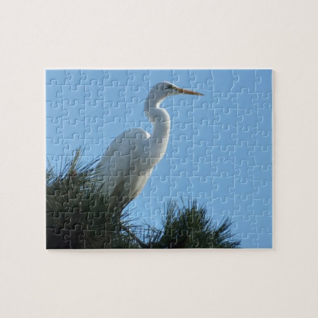 Great Egret in Sunny Florida Jigsaw Puzzle (Horizontal)