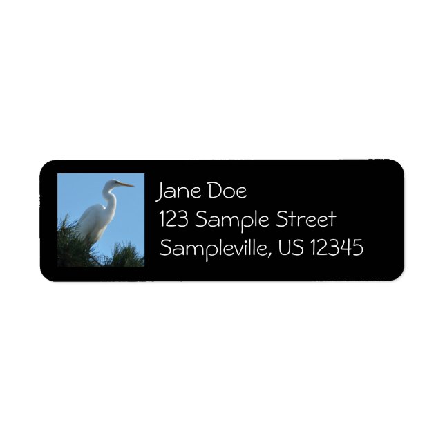 Great Egret in Sunny Florida Label (Front)