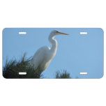 Great Egret in Sunny Florida License Plate