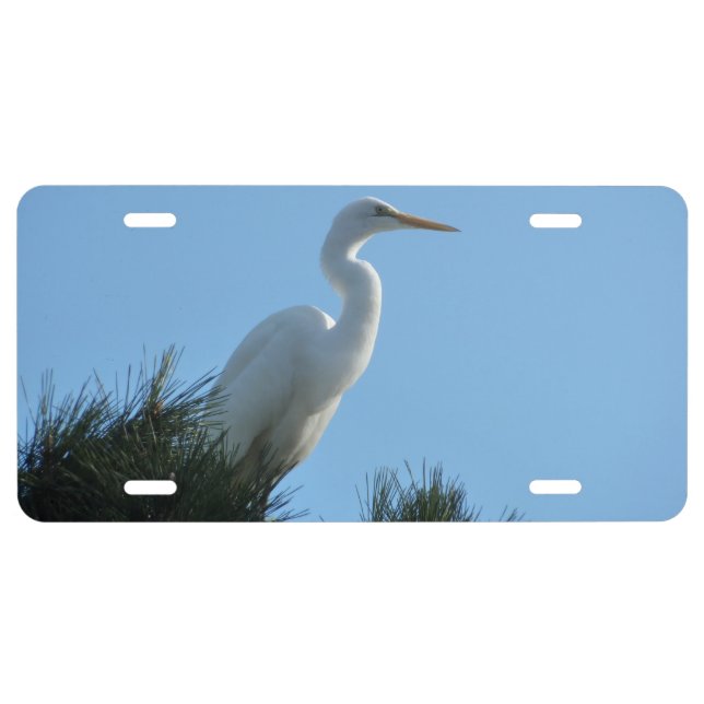 Great Egret in Sunny Florida License Plate (Front)