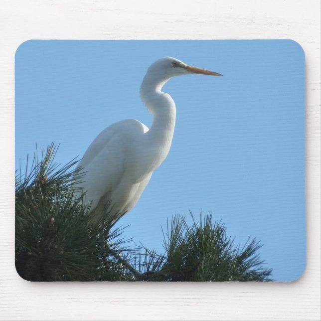 Great Egret in Sunny Florida Mouse Pad (Front)