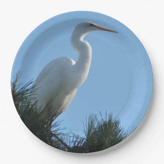 Great Egret in Sunny Florida Paper Plates (Front)