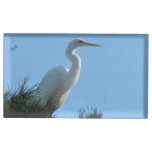 Great Egret in Sunny Florida Place Card Holder