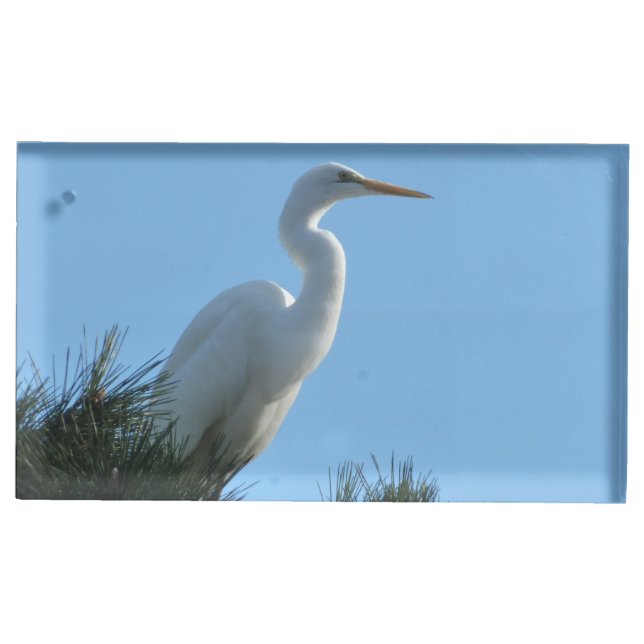 Great Egret in Sunny Florida Place Card Holder (Front)