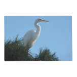 Great Egret in Sunny Florida Placemat