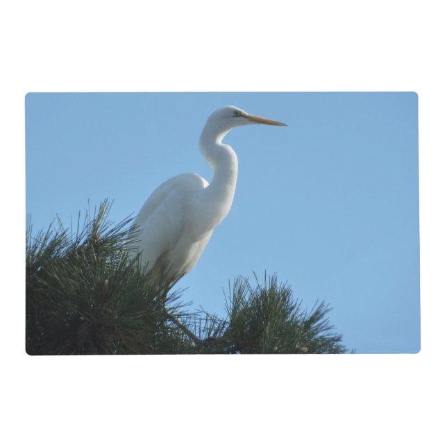 Great Egret in Sunny Florida Placemat (Front)