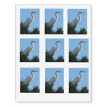 Great Egret in Sunny Florida Temporary Tattoos