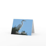 Great Egret in Sunny Florida Thank You Card