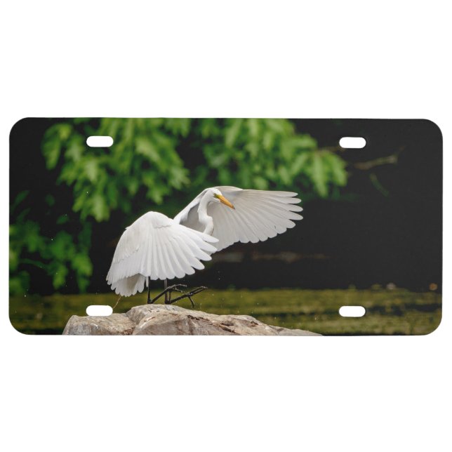 Great Egret License Plate (Front)