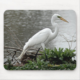Great Egret Mouse Pad