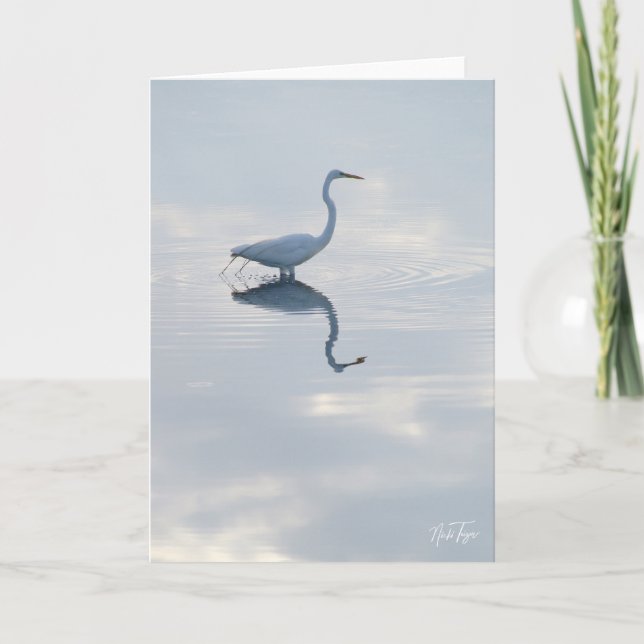 Great Egret notecard (Front)