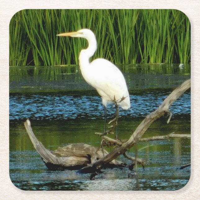 Great Egret Paper Coaster (Front)