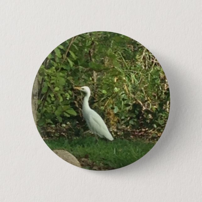 Great Egret Pinback Button (Front)