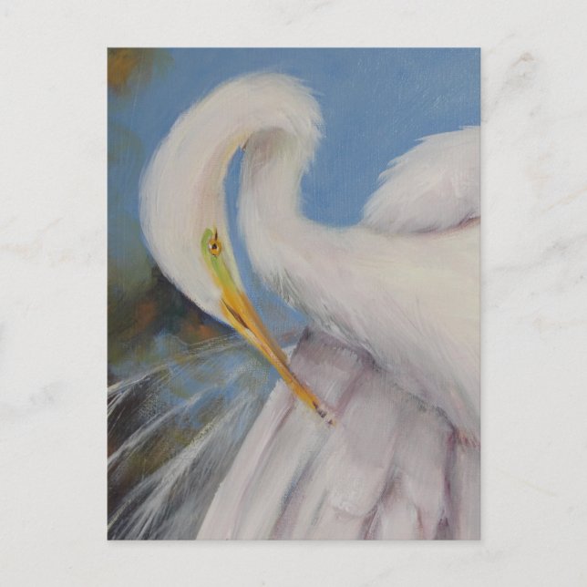 Great Egret Postcard (Front)
