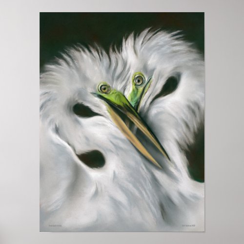 Great Egrets in Love Poster