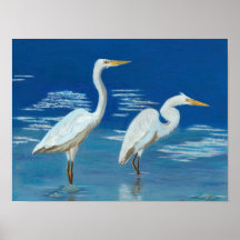 Great Egrets