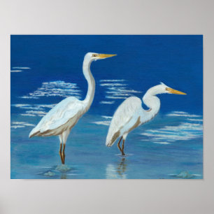 Great Egrets Poster