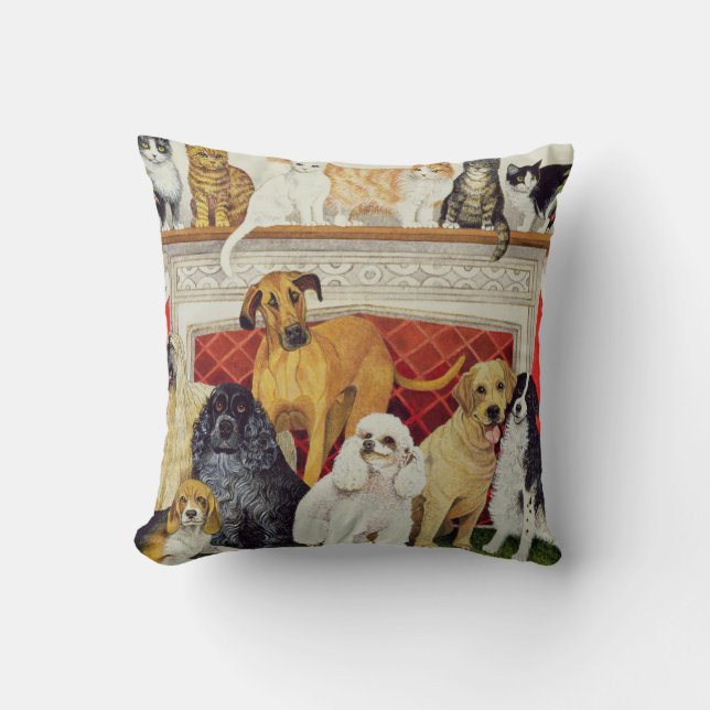 Great Expectations Throw Pillow (Front)
