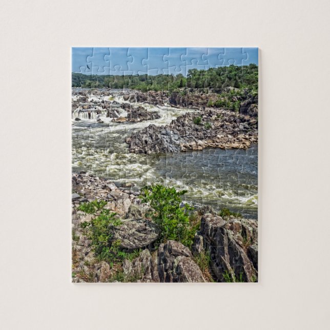 Great Falls National Park Jigsaw Puzzle (Vertical)