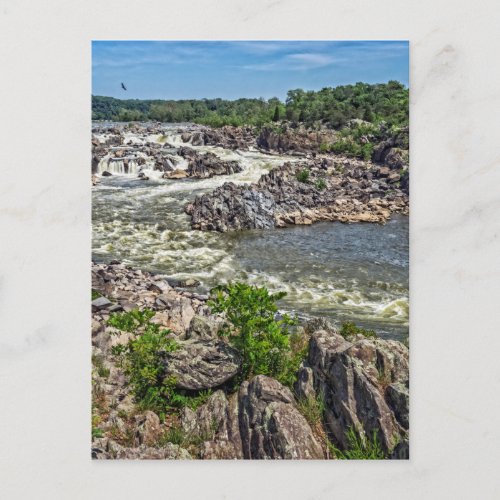 Great Falls National Park Postcard