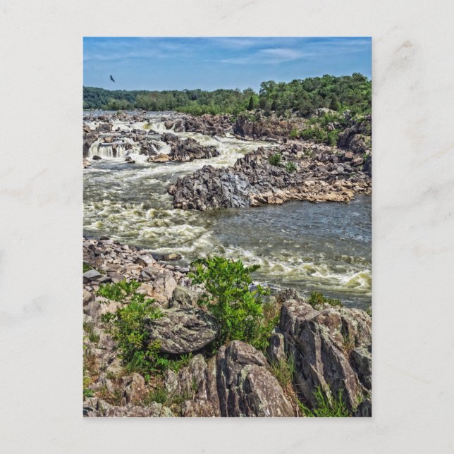 Great Falls National Park Postcard (Front)